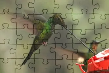 ColibrÃ¬ becco a spada