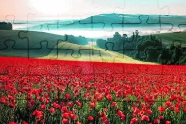 flores rojas