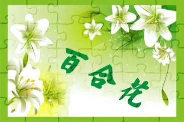 פאזל של ç™¾åˆèŠ±