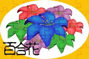 פאזל של ç™¾åˆèŠ±