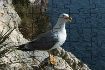 PALMARIA