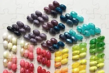 11-9 jigsaw puzzle