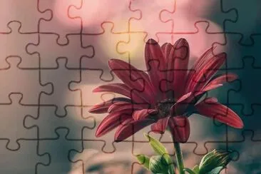 imagem jigsaw puzzle