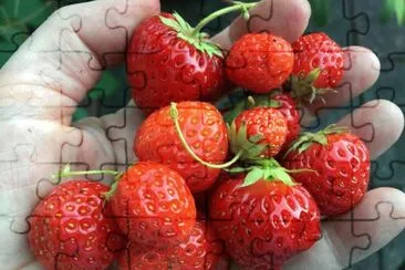 Strawberries from the Garden