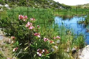 CAPRAIA jigsaw puzzle