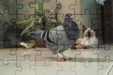 SIMBA Y PALOMA jigsaw puzzle