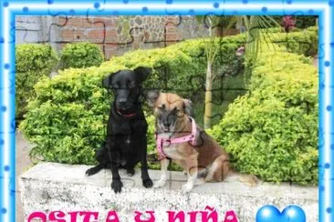 MIS CHICAS jigsaw puzzle