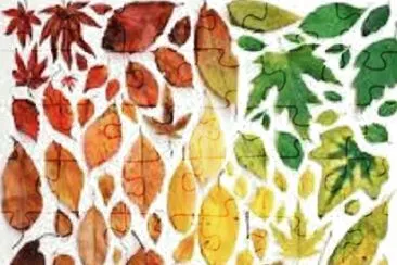 11-13 jigsaw puzzle