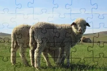 Orkhon jigsaw puzzle