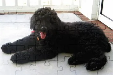 Rottle jigsaw puzzle
