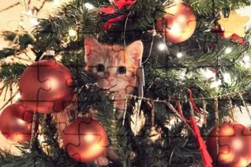 פאזל של natale con gatto