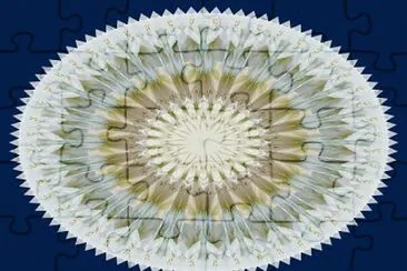 2139 jigsaw puzzle
