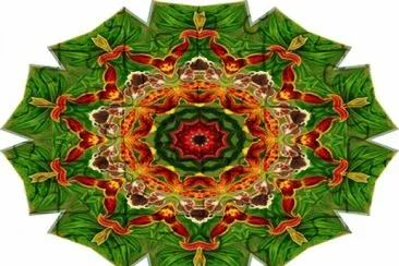 2169 jigsaw puzzle