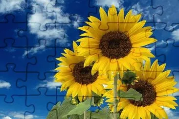 naturaleza