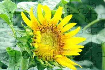 naturaleza