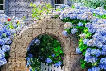 פאזל של Fachada con hortensias