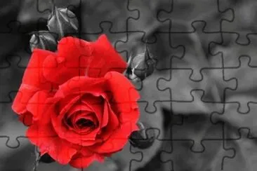 imagem jigsaw puzzle