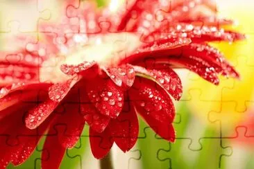 Flor vermelha jigsaw puzzle