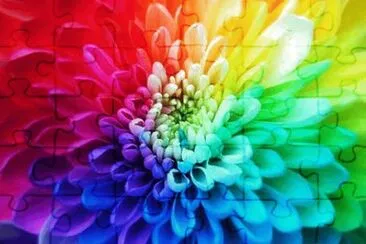 Flor jigsaw puzzle