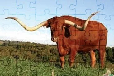 JR 399 jigsaw puzzle