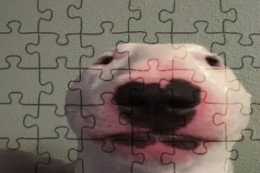 w jigsaw puzzle