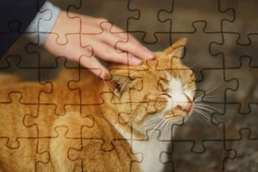 פאזל של gato uwu