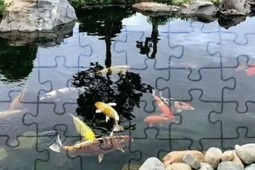 1 jigsaw puzzle