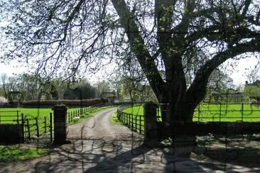 Site of Keldholme Priory jigsaw puzzle