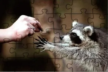 AMISTAD jigsaw puzzle