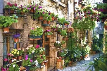 naturaleza jigsaw puzzle