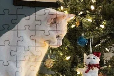 imagem jigsaw puzzle