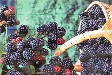 frutas