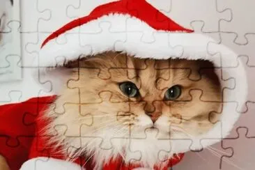 פאזל של natal