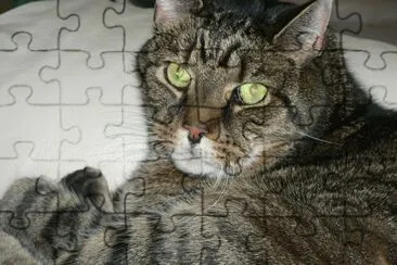 פאזל של MAX