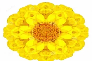 2423