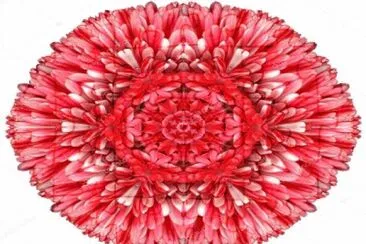 2448 jigsaw puzzle