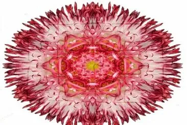 2449 jigsaw puzzle