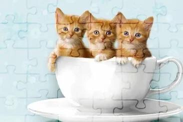 KITS jigsaw puzzle