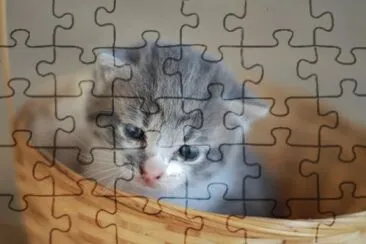 dificil jigsaw puzzle