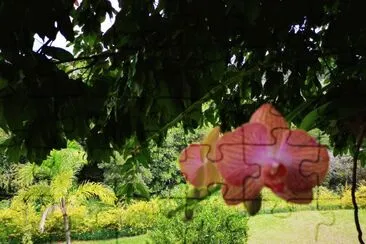 orquidea lila jigsaw puzzle