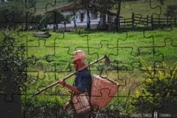 JR 461 jigsaw puzzle