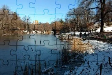 פאזל של Winter in Central Park