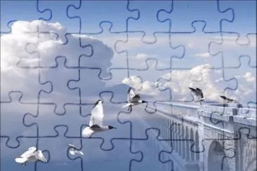 envol jigsaw puzzle
