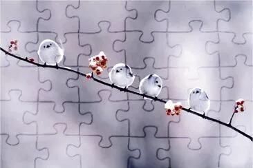oiseaux-pompons jigsaw puzzle