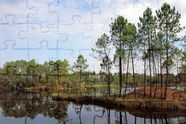 lac d 'Hostens jigsaw puzzle