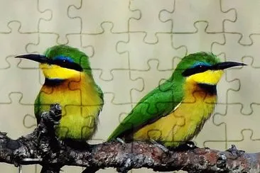 Gruccione dal petto blu jigsaw puzzle