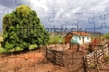 JR 469 jigsaw puzzle