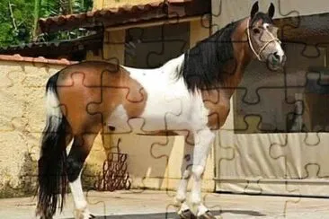 a caballo jigsaw puzzle