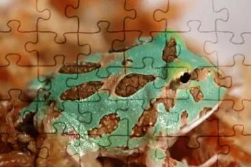 Pacman samurai jigsaw puzzle