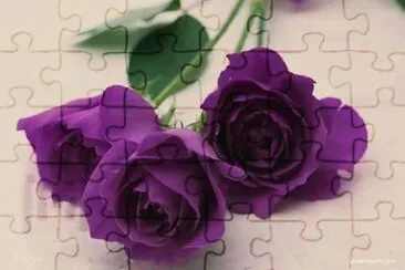 imagem jigsaw puzzle